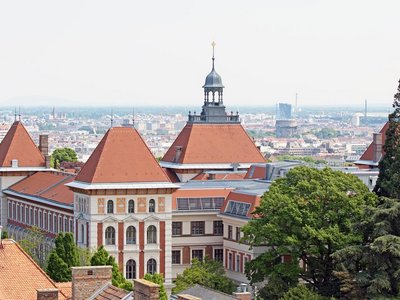 Eine Luftansicht eines Gebäudes mit Dächern im Hintergrund.