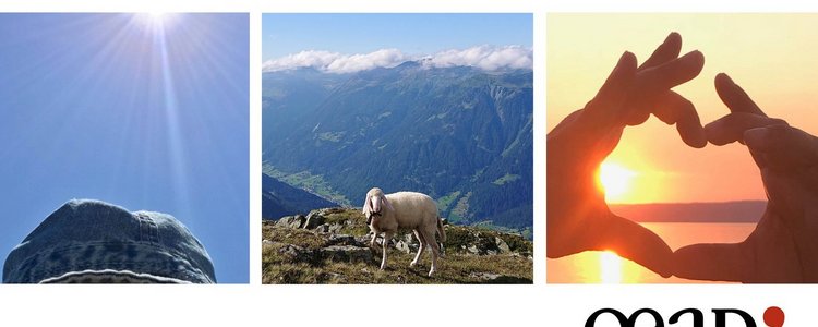 Sommermotive: See, Berg mit Schaf, Sonnenhut und Sonnenuntergang