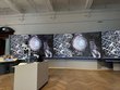 Schnecke, durch ein Mikroskop betrachtet