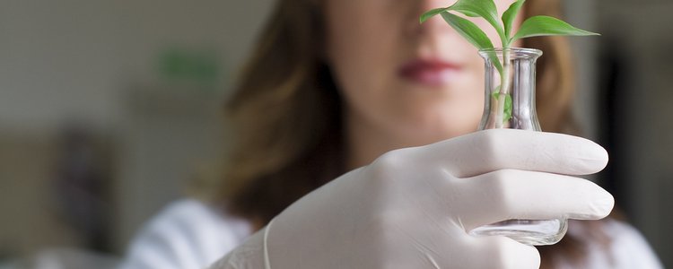 Forscherin mit Pflanze in einem Reagenzglas